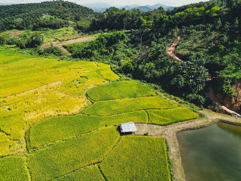 High angle view of agricultural field