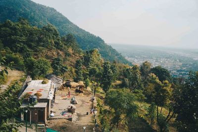 High angle view of trees and buildings against sky