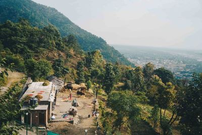 High angle view of trees and buildings against sky