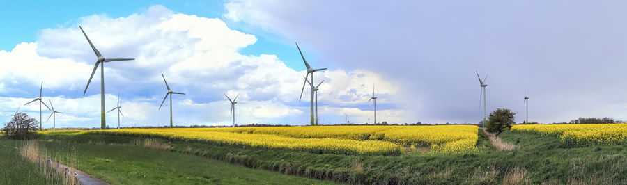 Scenic view of agricultural field against sky