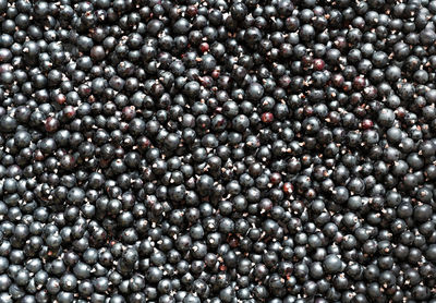 Top view of organic black currant berries closeup natural background copy space, vegan healthy food 