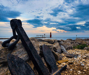 Driftwood on beach against sky