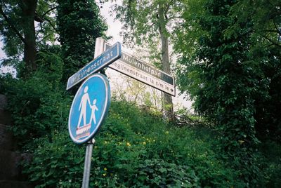 Low angle view of road sign against trees