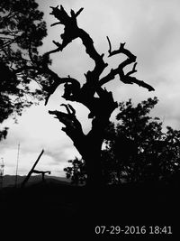 Low angle view of silhouette tree against sky