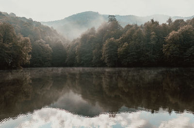 Scenic view of lake by trees against sky