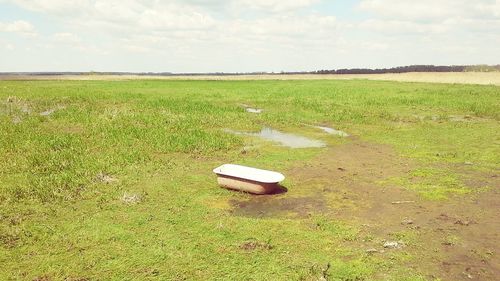 Scenic view of grassy field against sky