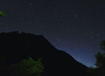 Low angle view of silhouette trees against sky at night