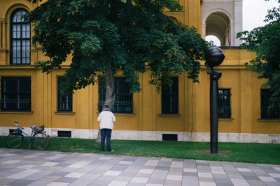 Man under tree