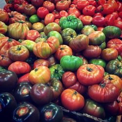 Full frame shot of tomatoes for sale