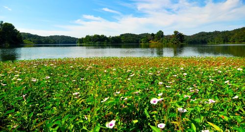 Scenic view of lake against cloudy sky