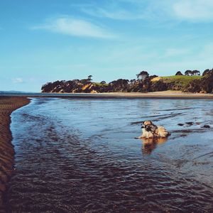 Scenic view of rocks on sea against sky