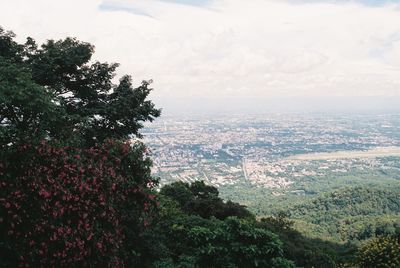 High angle view of trees on landscape against sky