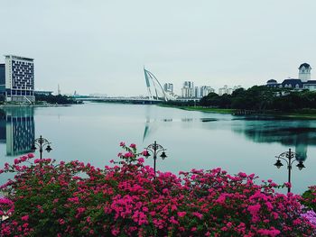 Scenic view of river by trees against clear sky