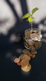 Close-up of coins on table