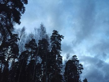 Low angle view of silhouette trees against sky