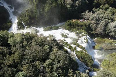 Scenic view of waterfall in forest