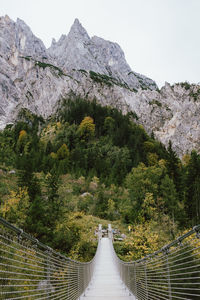 Footbridge amidst trees against mountains