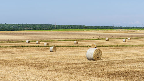 Hay bales on field against clear sky