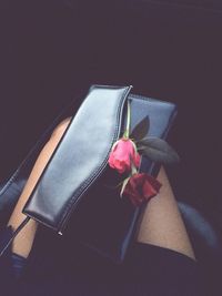 Close-up of rose against white background