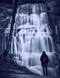 Scenic view of waterfall in forest