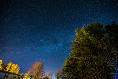 Low angle view of trees against sky at night