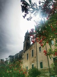 Low angle view of flowering tree by building against sky