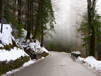 Snow covered landscape