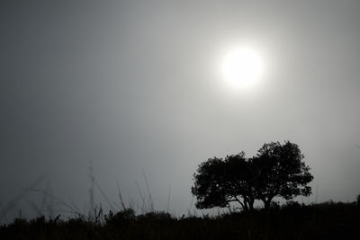 Silhouette trees growing on field against sky