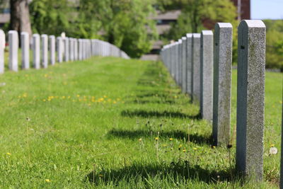 Grass growing on field in cemetery, headstones casting shadows.