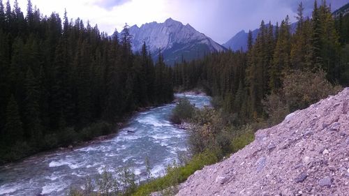 River flowing through rocks
