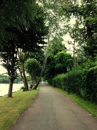 Empty road along trees