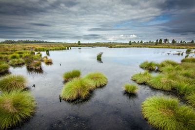 Scenic view of lake against sky