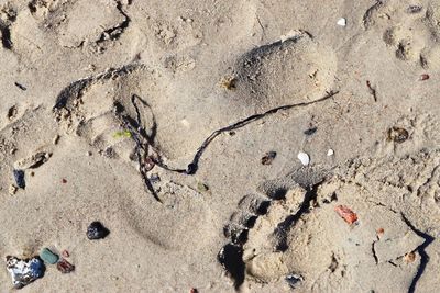 High angle view of footprints on beach