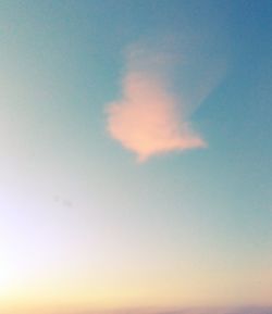 Low angle view of bird against sky