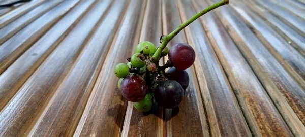 Close-up of fruits growing on wood