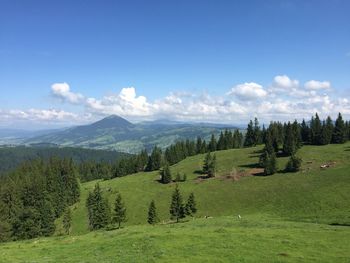 Scenic view of landscape against sky