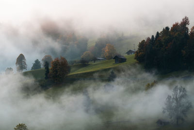 Trees on landscape against sky