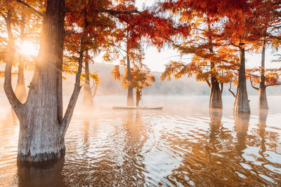 Scenic view of lake during autumn