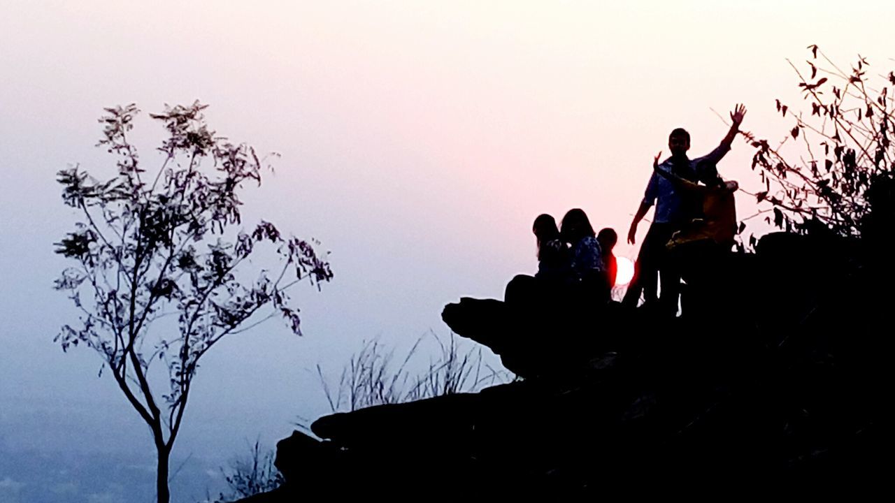 silhouette, clear sky, lifestyles, men, low angle view, sky, leisure activity, copy space, tree, sunset, dusk, nature, outdoors, person, standing, day, sitting