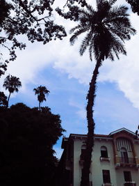 Low angle view of tree against sky