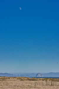 Scenic view of field against clear blue sky