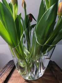 Close-up of wet glass vase on table