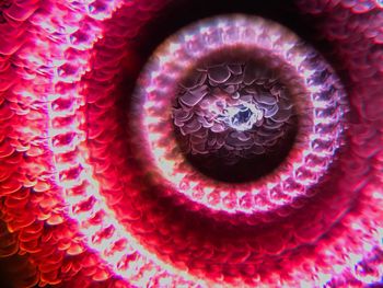 Full frame shot of pattern