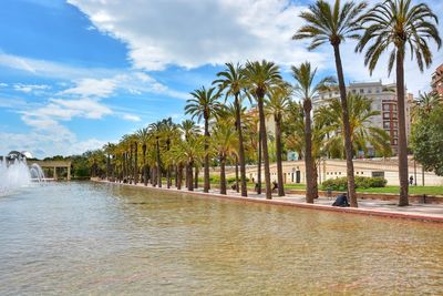 Palm trees by river against cloudy sky