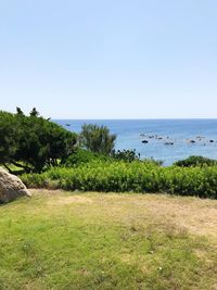 Scenic view of sea against clear sky