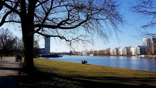 Scenic view of bare tree by city against sky