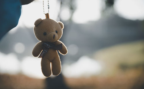Close-up of toy hanging on wood