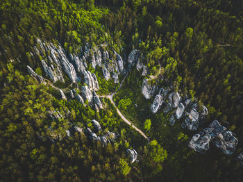 Scenic view from above of rock formation in forest