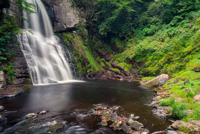 Scenic view of waterfall in forest