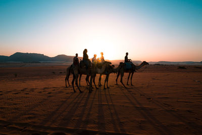 People riding camel on sand in desert at wadi rum against clear sky